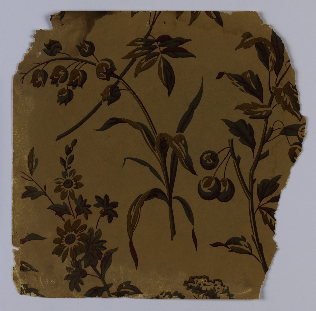 Sideveggprøve, 1880–90 av Unknown