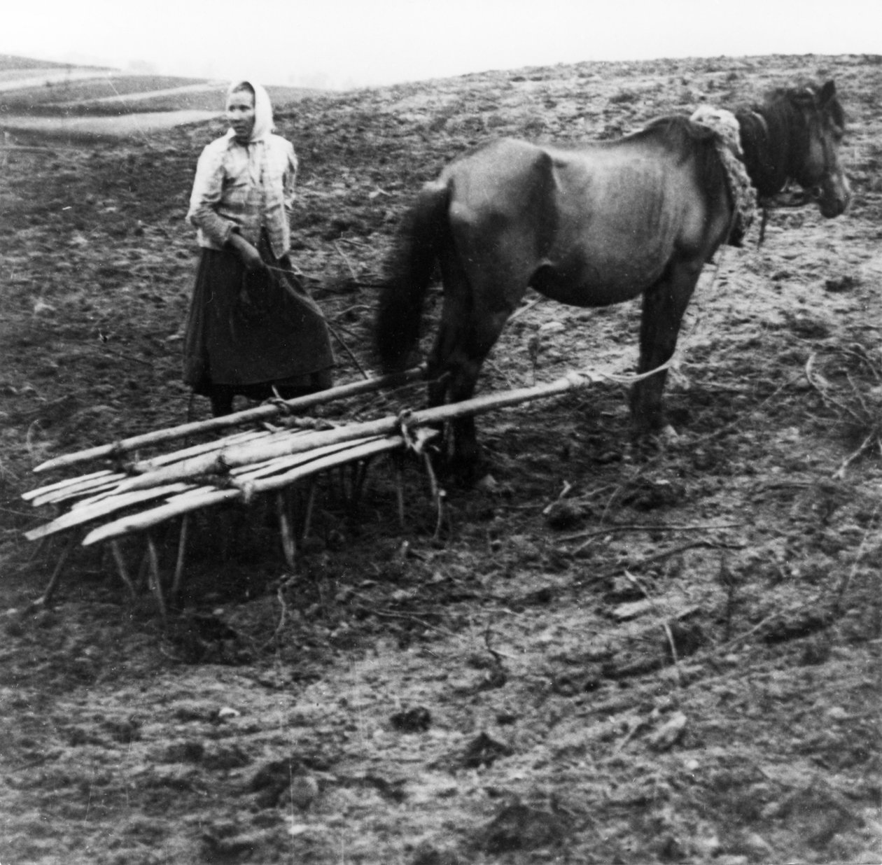 En bondekvinne med hest som dyrker jorden på en gård i landsbyen Voronovo ved Volga i det førrevolusjonære Russland, 1900. av Unknown