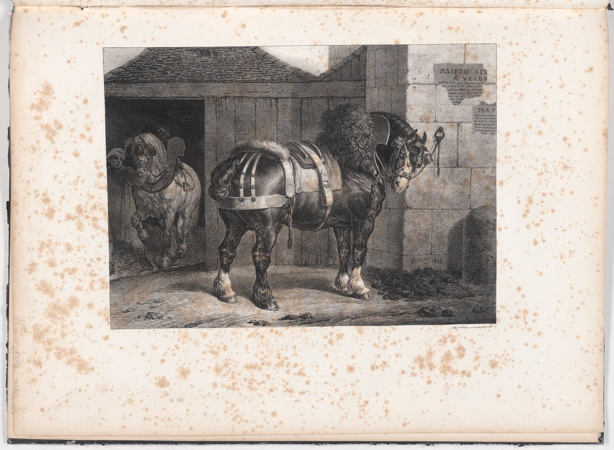 Svart hest som står utenfor en stall av Unknown