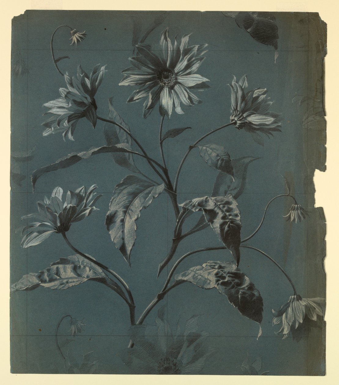 Design for tapet eller tekstil av tusenfryd-type blomst med Repeat av Unknown