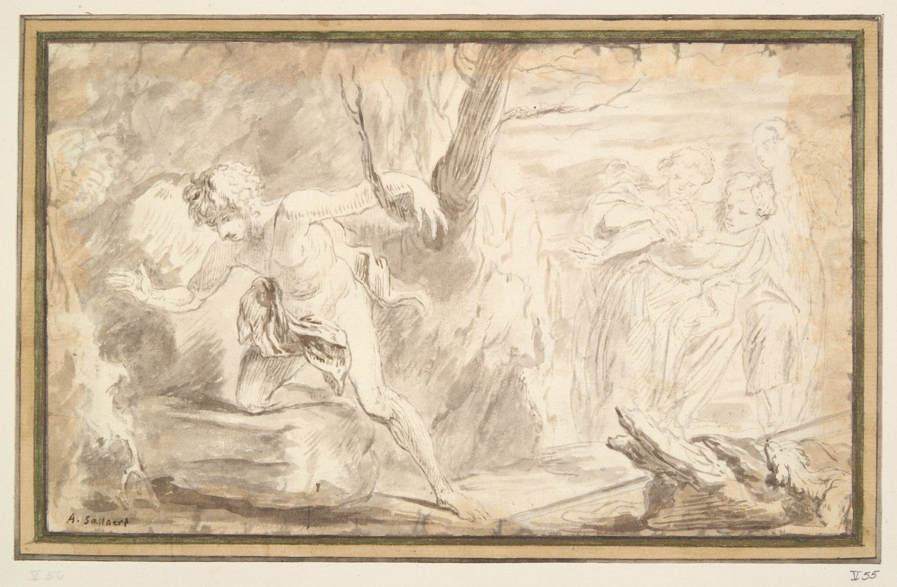 Narcissus av Unknown