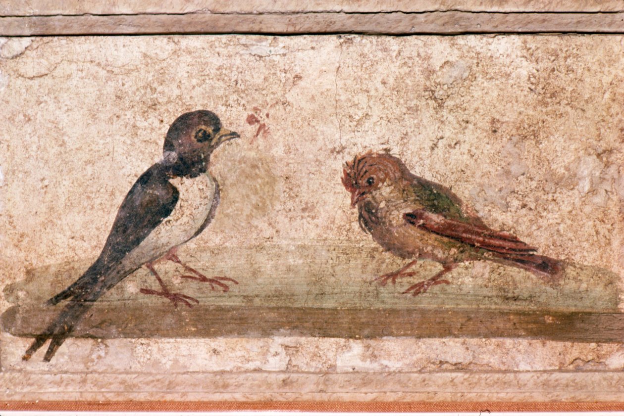 Swallow and Sparrow, romersk veggmaleri fra Boscoreale nær Pompeii, 1. århundre av Unknown