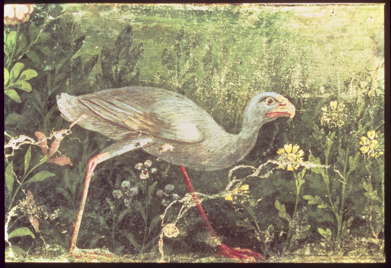 Veggmaleri av en sultankylling i en hage, Pompeii, 1. århundre e.Kr av Unknown