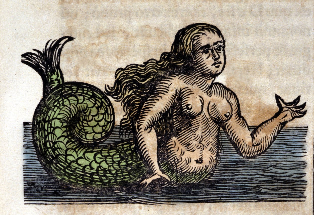 En sirene, legendarisk person - Gravering fra et verk av Athanasius Kircher (1601 - 1680), jesuite, orientalist og tysk lærd av Unknown artist