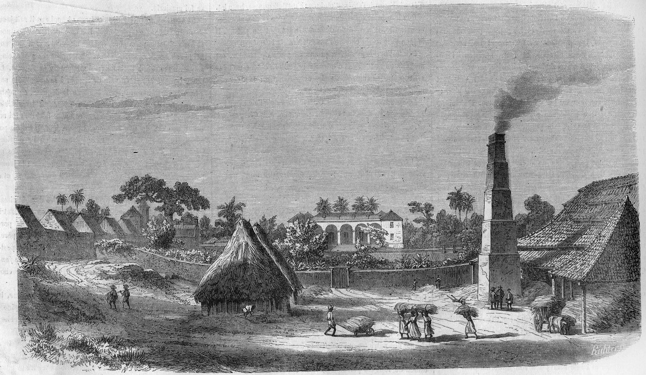 En godterifabrikk på øya Cuba i 1869. av Unknown artist