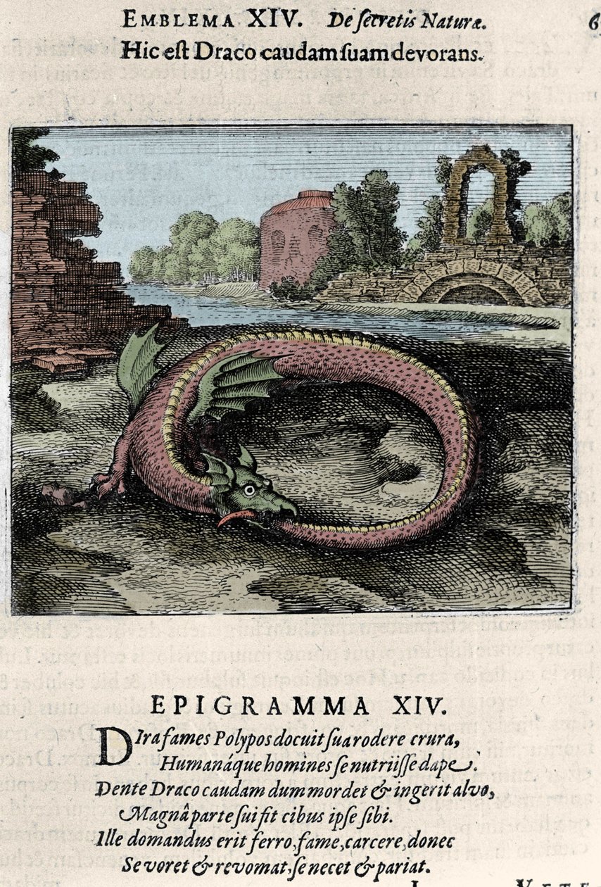 En drage som slår halen (eller Ouroburo (?)). Tallerken hentet fra turen til alkymi ""Flying Atalanta er den emblematiske romanen om naturens hemmelige kjemi" av Michel Maier (1568-1622) av Unknown artist
