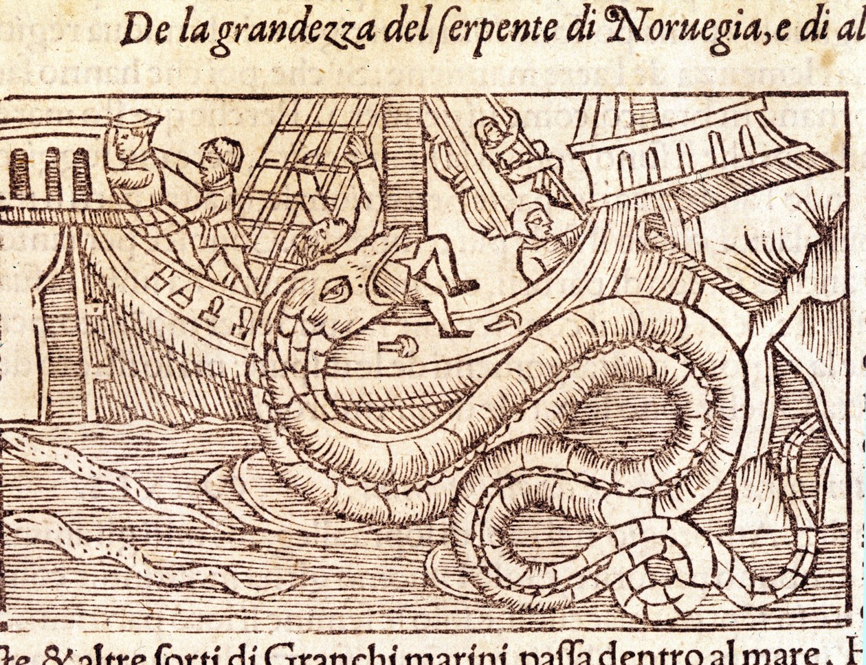 En gigantisk marin slange angriper et skip og slår mannskapet. Gravering av Olaus Magnus (1490 - 1557), svensk religiøs og geograf, "Historia de Gentis Septentrionalibus", Venezia av Unknown artist