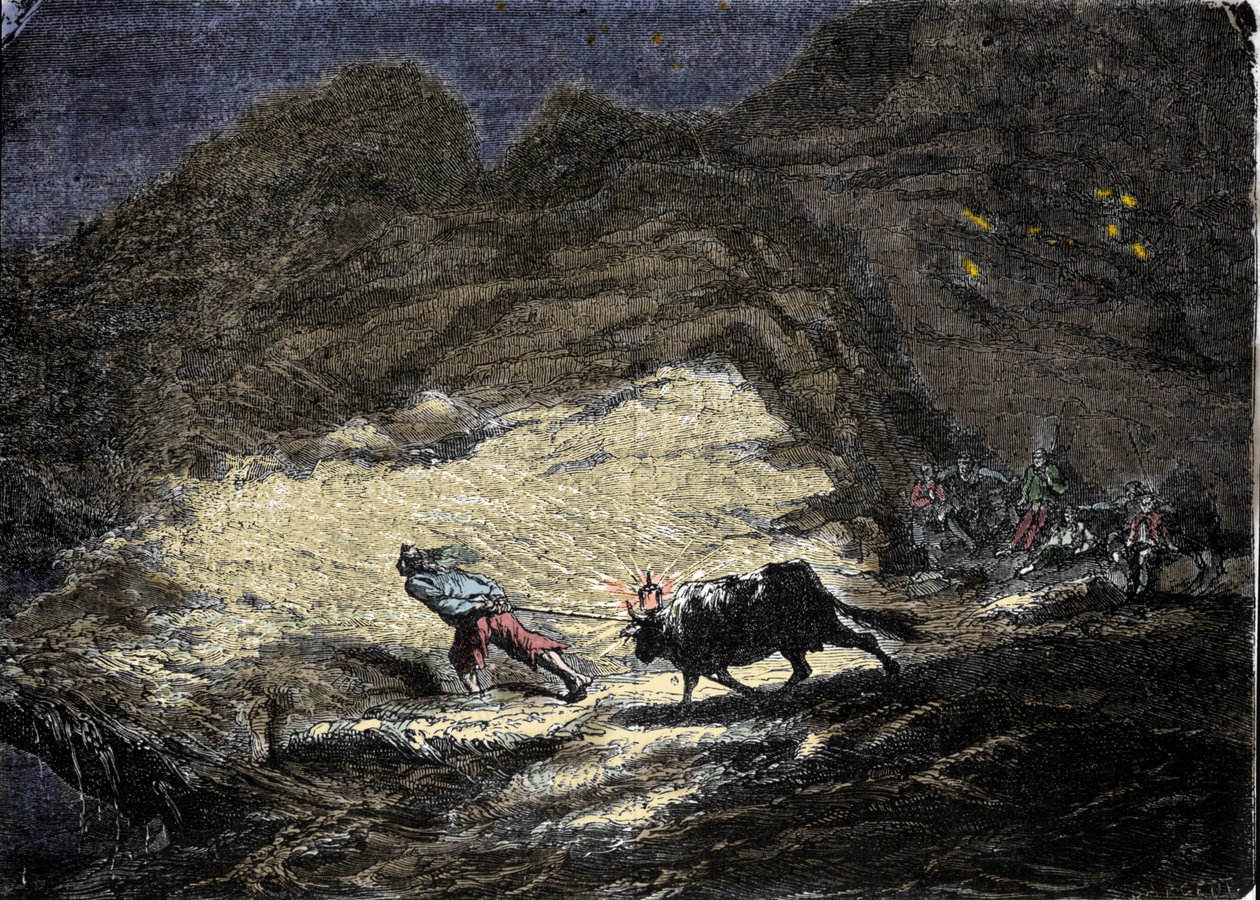 Et skipsvrak (pirat) bruker et lys som henger på hodet til en okse for å lure skip som så nærmer seg kysten og befinner seg i døren til plyndrere. Gravering av 1800-tallet. av Unknown artist