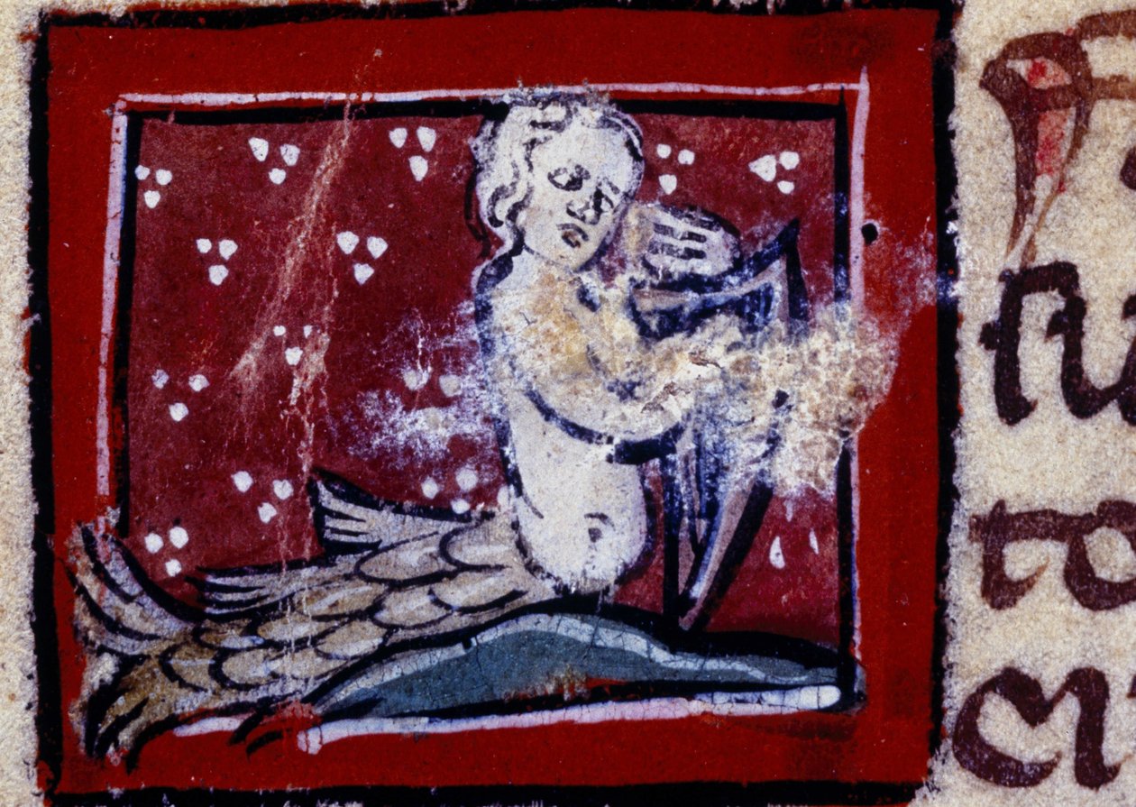 A Sirene - Bestiary of the 14th Century. Milano, Bibliotek Trivulziana. av Unknown artist
