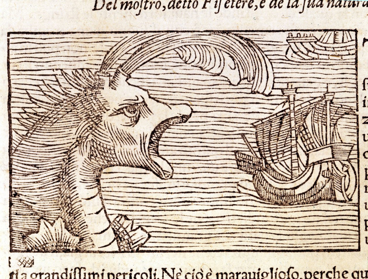 En spermhval (?) (fyseter) angriper et skip. Gravering av Olaus Magnus (1490 - 1557), svensk religiøs og geograf, "History of the Northern Nation", Venezia av Unknown artist