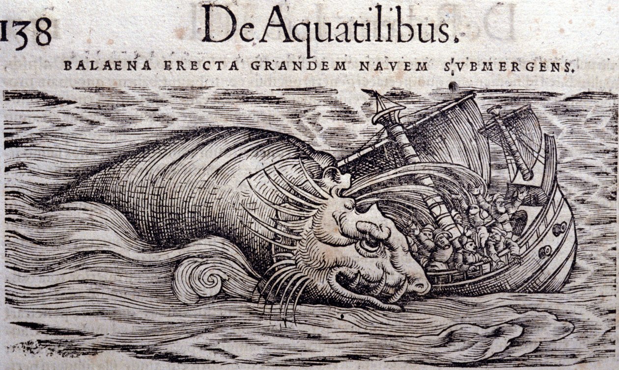En hval ødelegger en båts skrog og forårsaker at den synker. Gravering n Historia Animalium av Conrad Gesner (1516 - 1565), Tiguri av Unknown artist