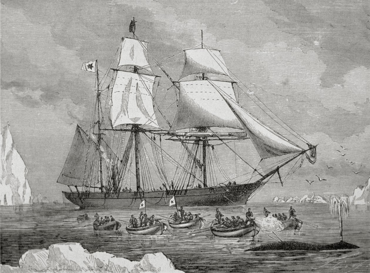En hvalfanger med båt raskt til en "fisk" (med våpenharpunen) av Unknown artist