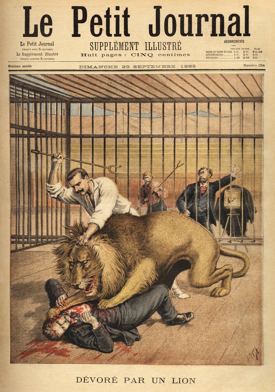 En ung mann som ønsker å bli fotografert i buret til en løve, blir fortært, til tross for temmerens anstrengelser for å holde løven. Gravering i "" Le petit journal"" 29.09.1895. Selvas samling. av Unknown artist