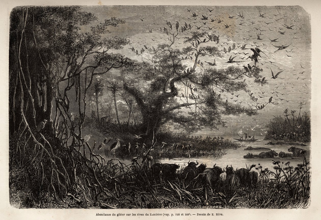 Overflod av vilt på bredden av Zambese. Gravering for å illustrere Dr. Livingstones første reiser til Sør-Afrika fra 1840 til 1856, i «Le tour du monde, nouveau journal des voyages»» publisert under ledelse av Edouard Charton av Unknown artist