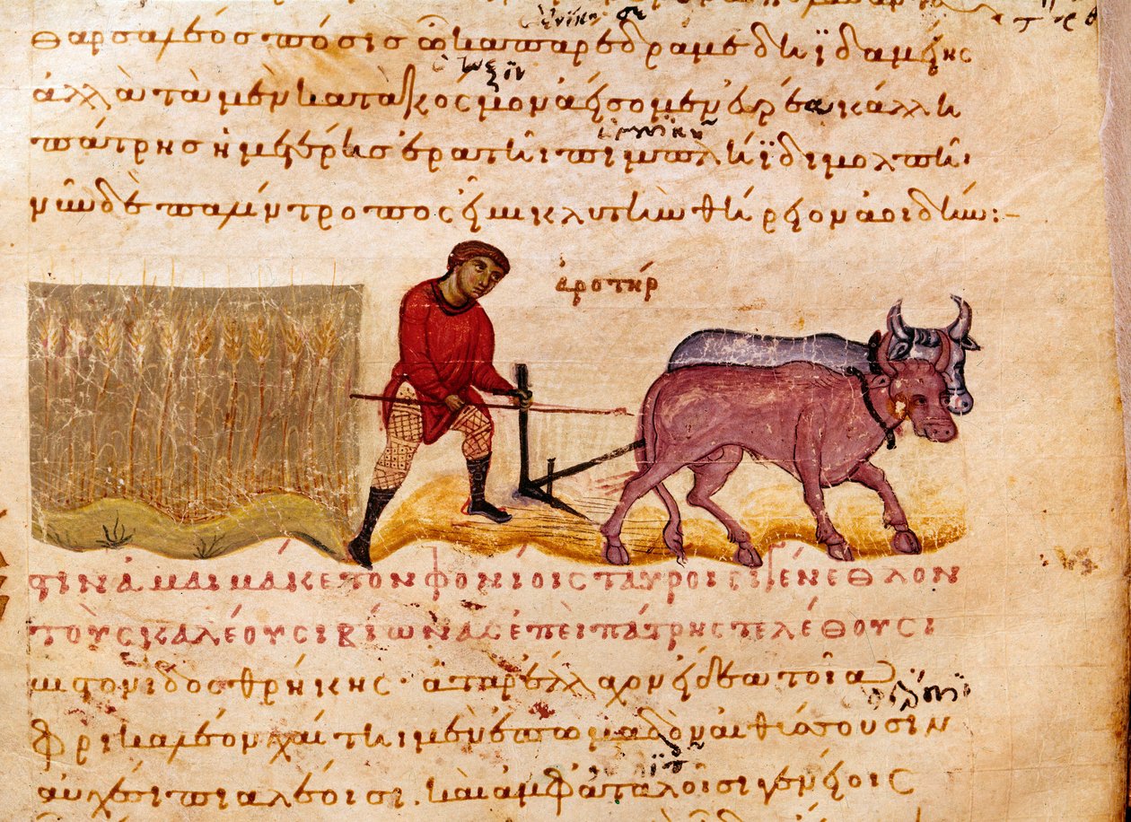 Landbruk: pløyescene. Miniatyr fra jakthandelen "" The Cynegetics "" av Oppian (Oppian eller Oppianus) fra Syria (3. århundre e.Kr.) dedikert til Caracalla. Venezia fra 1000-tallet. Biblioteca Marciana av Unknown artist