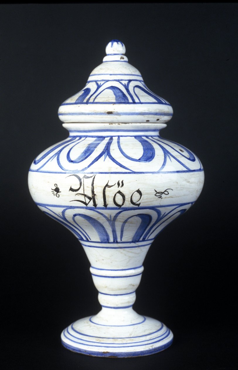 Albarelle: apotekvase fra 1500-tallet som inneholder aloe. Museum for vitenskap og teknologi, Milano. av Unknown artist