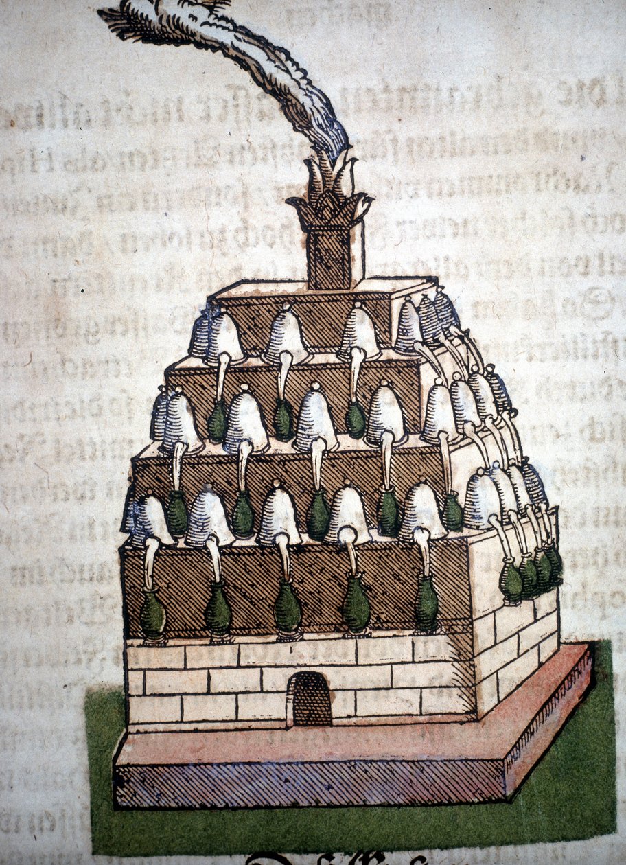 Alchemy: the Athanor Four fra en bok av Pietro Andrea Mattioli (Matthiole) (1500-1577). Frankfurt av Unknown artist