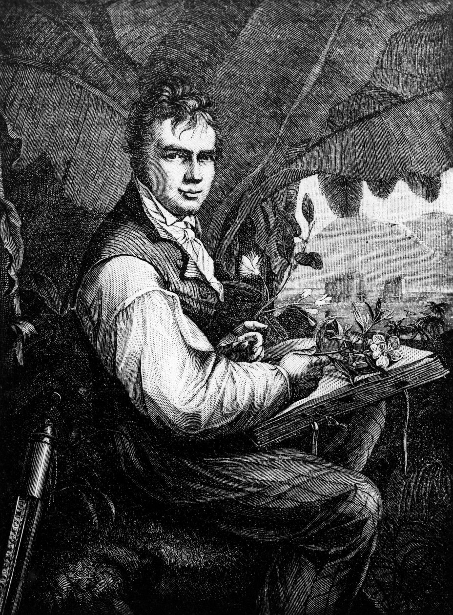 Alexander Von Humboldt (Alexander de Humboldt av Unknown artist