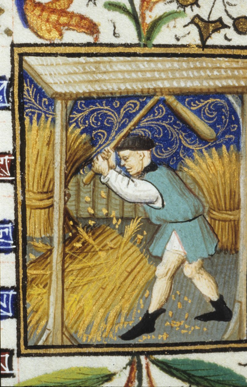 Allegorisk fremstilling av august. En bonde som slår hvete. Miniatyr av et manuskript fra 1300-tallet. av Unknown artist