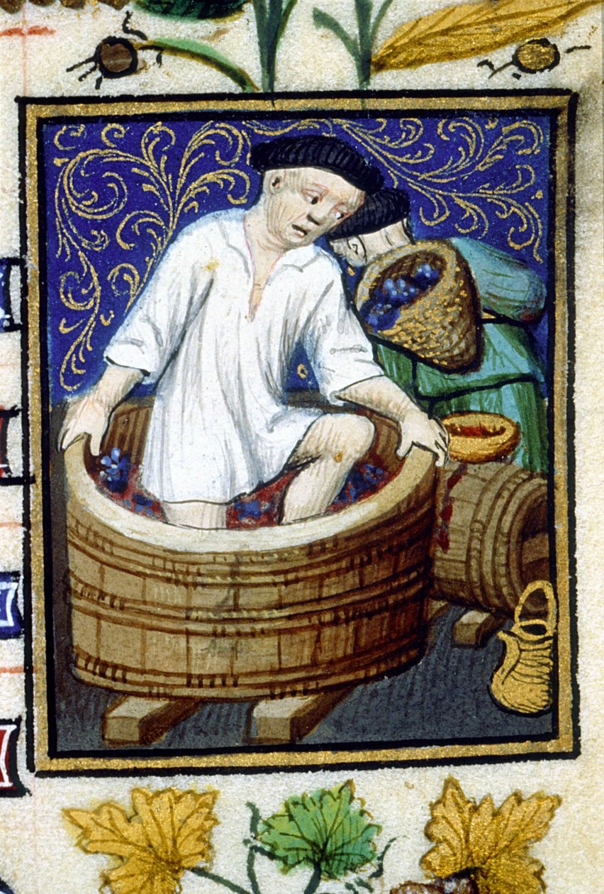 Allegorisk fremstilling av september. Innhøsting, druestripping. Miniatyr av et manuskript fra 1300-tallet. av Unknown artist