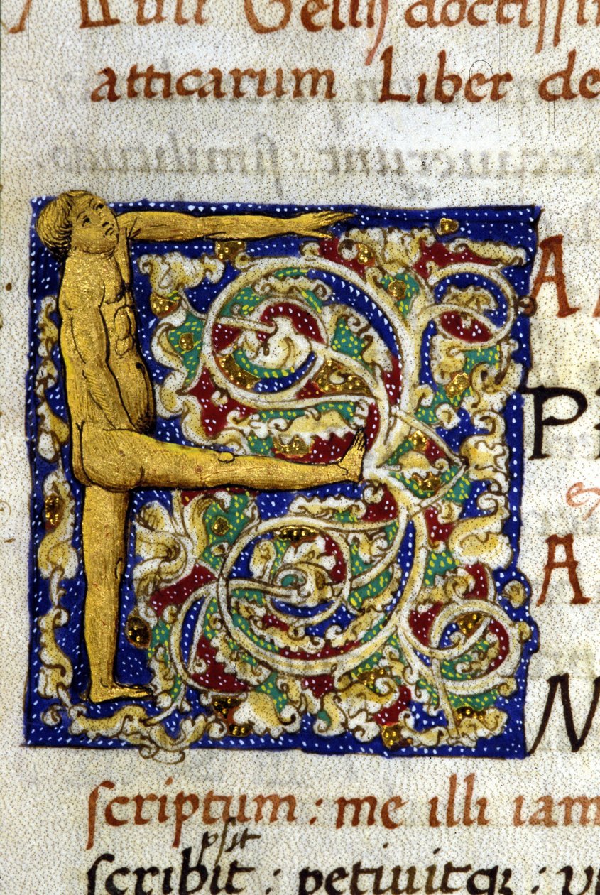 Alfabet: miniatyrert bokstav F av Unknown artist