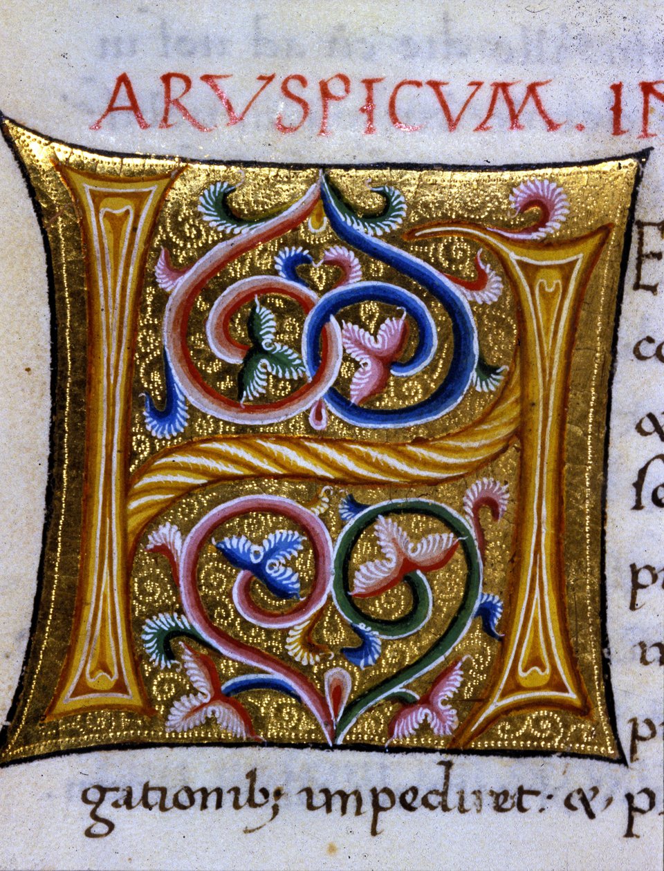 Alfabet: miniatyr bokstav H av Unknown artist