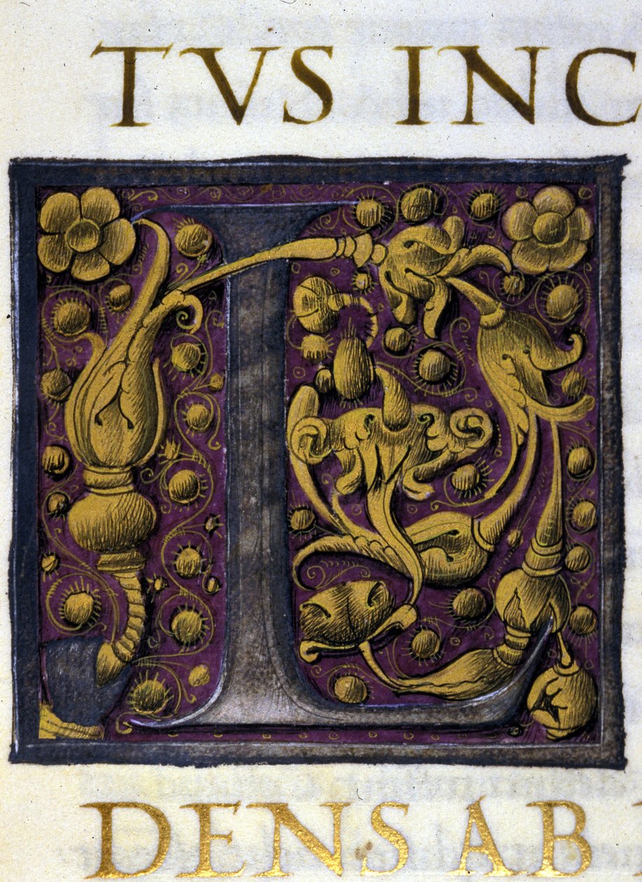 Alfabet: liten bokstav L av Unknown artist