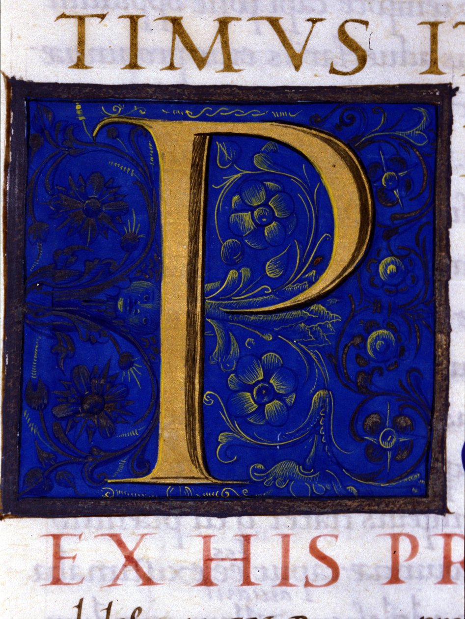 Alfabet: miniatyrert bokstav P av Unknown artist
