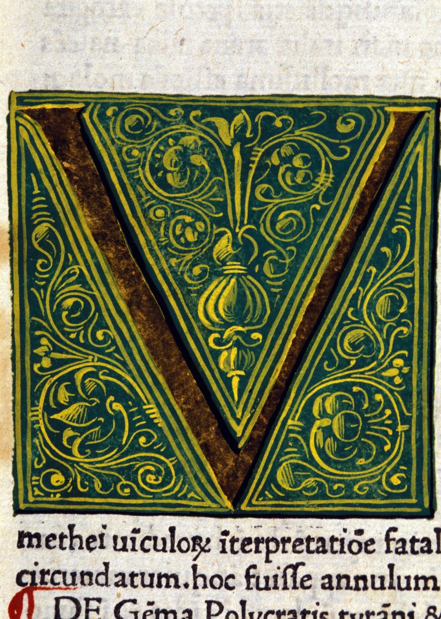 Alfabet: liten bokstav V av Unknown artist