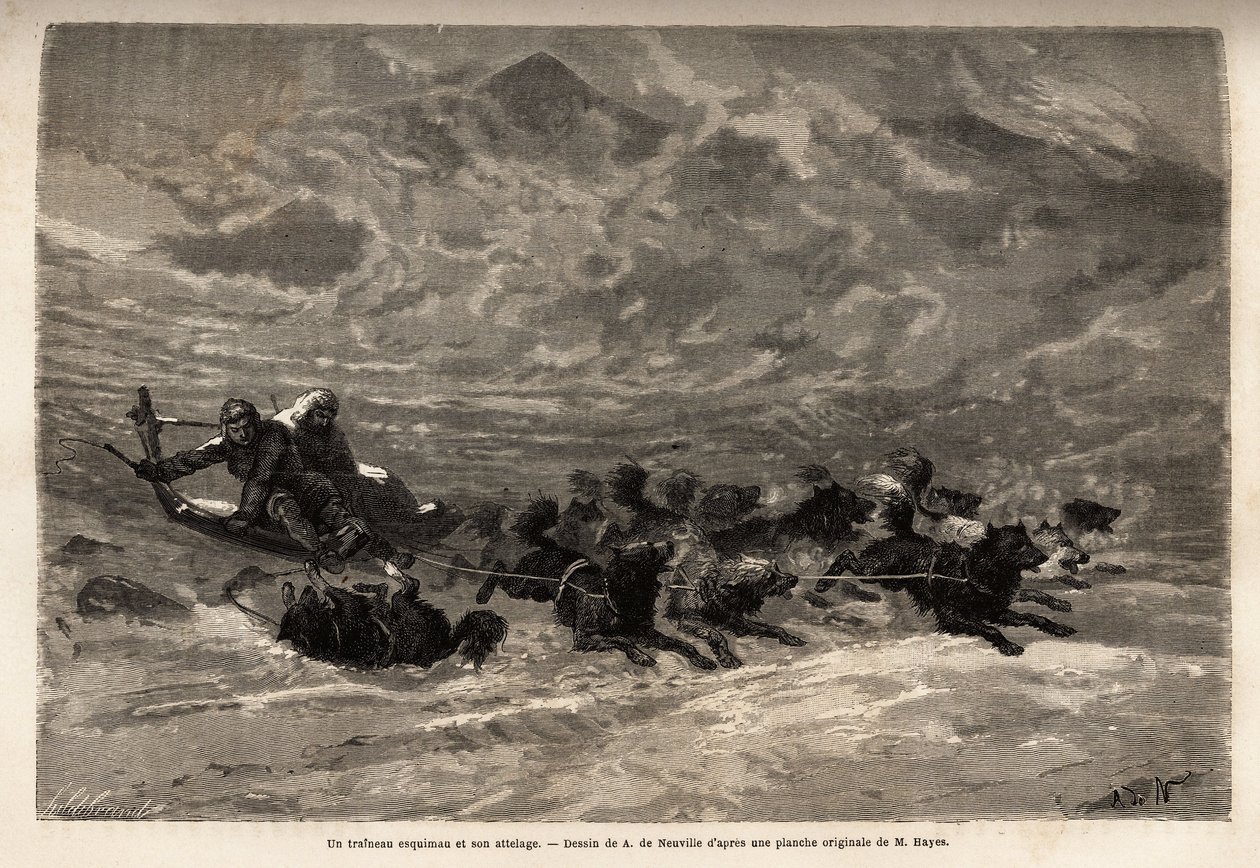 En eskimauslede og dens hundespann, den raskeste og mest pålitelige måten å reise i Arktis. Gravering for å illustrere reisen til det frie havet på den arktiske polen, av doktor Hayes, kirurg ved den amerikanske marinen, i 1860-1862, publisert i "Le t av Unknown artist