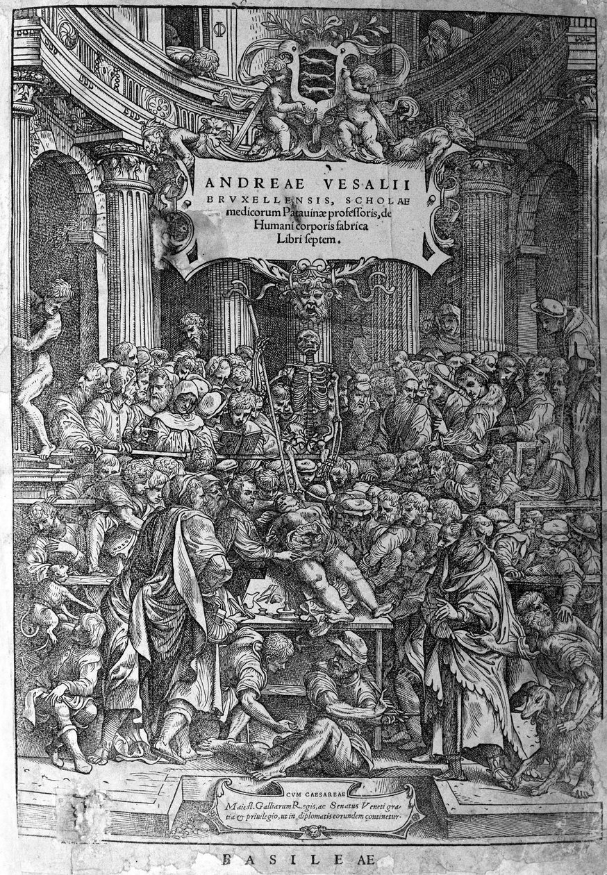 Anatomisk rom. Frontispice av verket "Humani corporis fabrica libri septem 1543" av André Vésale (1514-1564), nederlandsk anatom (på latin: Andrea Vesalius, på nederlandsk: Andries Van Wesel). av Unknown artist