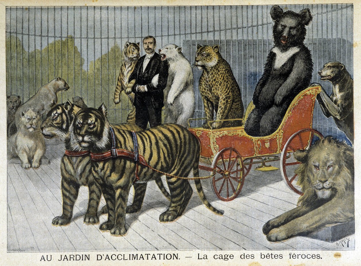 I akklimatiseringens hage: buret til grusomme dyr - i "" Le Petite Journal"" av 02.06.1895 av Unknown artist