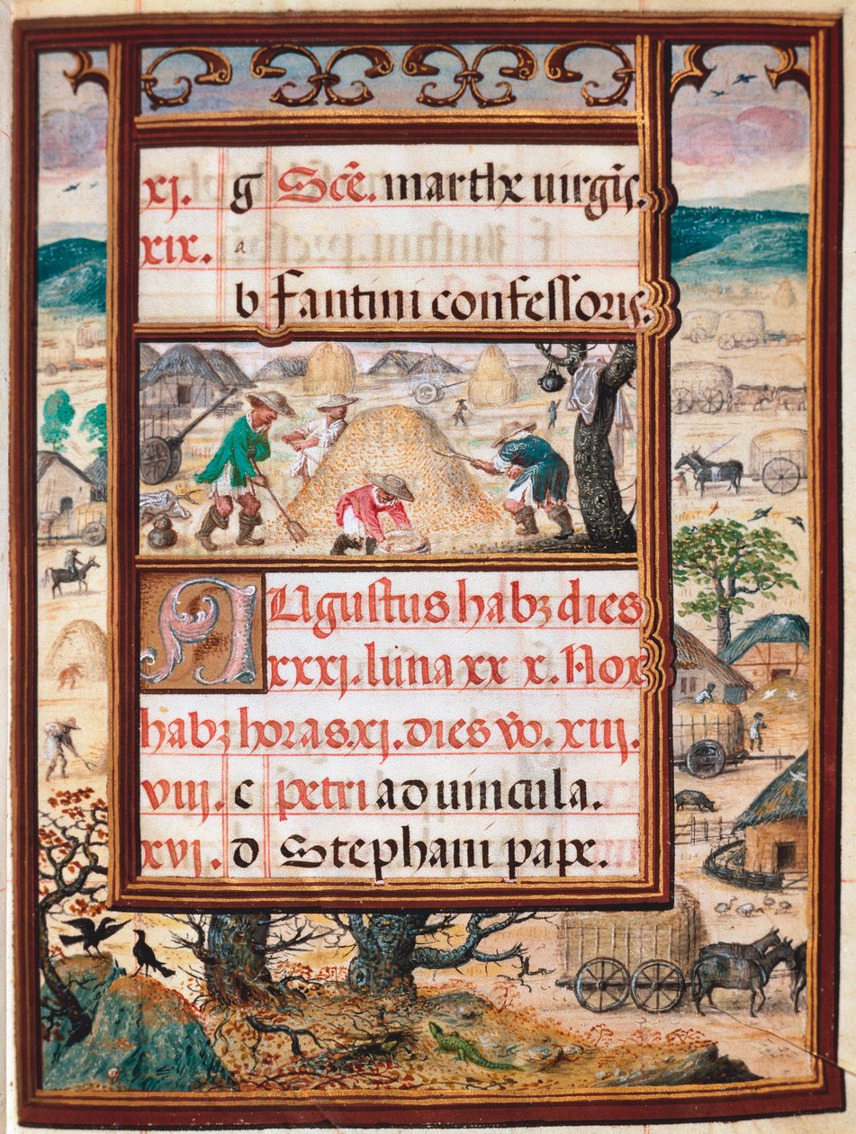 August. Bønder i arbeid. Side med manuskriptet "Time Book of Hours" av Manuel I av Portugal (1469-1521) 1517. Lisboa, Museo di Arte Antica av Unknown artist