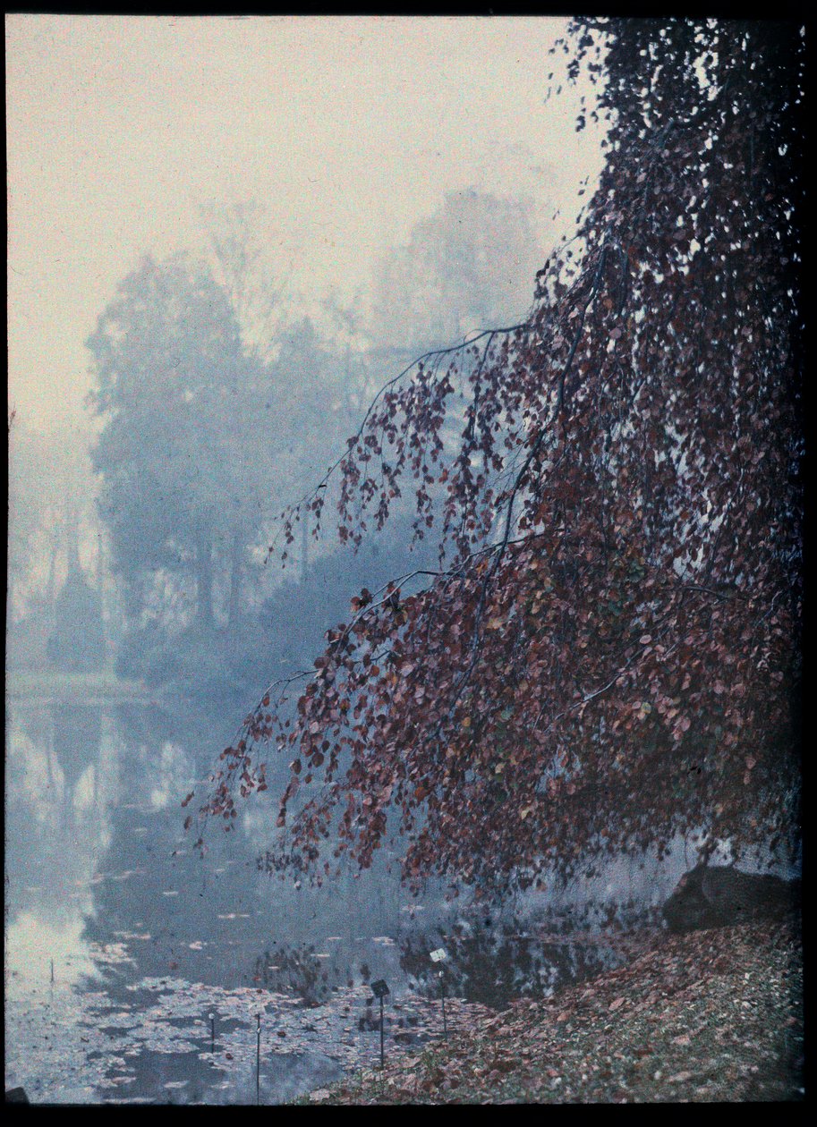 Høstlandskap, innsjø og rødt tre i tåken - ca. 1920 (Høstlandskap, innsjø og rødt tre i tåken) Autochrome anonymous Collection private av Unknown Artist