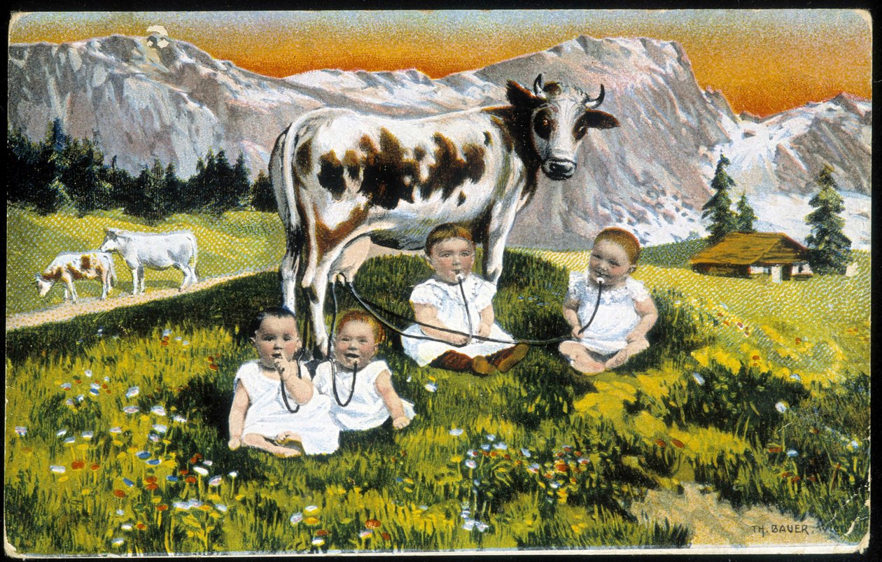 Babyer sta en ku av rør - Postkort, slutten av 1800-tallet av Unknown artist
