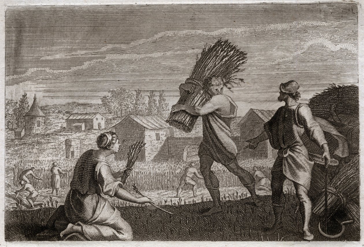 Bible of Royaumont, Old Testament: Ruth follows his mother-in-law Noemi (Naomi, Noemie) in the land of Judah and reaps the wheat fields of Boaz (Boaz). Illustration from 1811. av Unknown artist