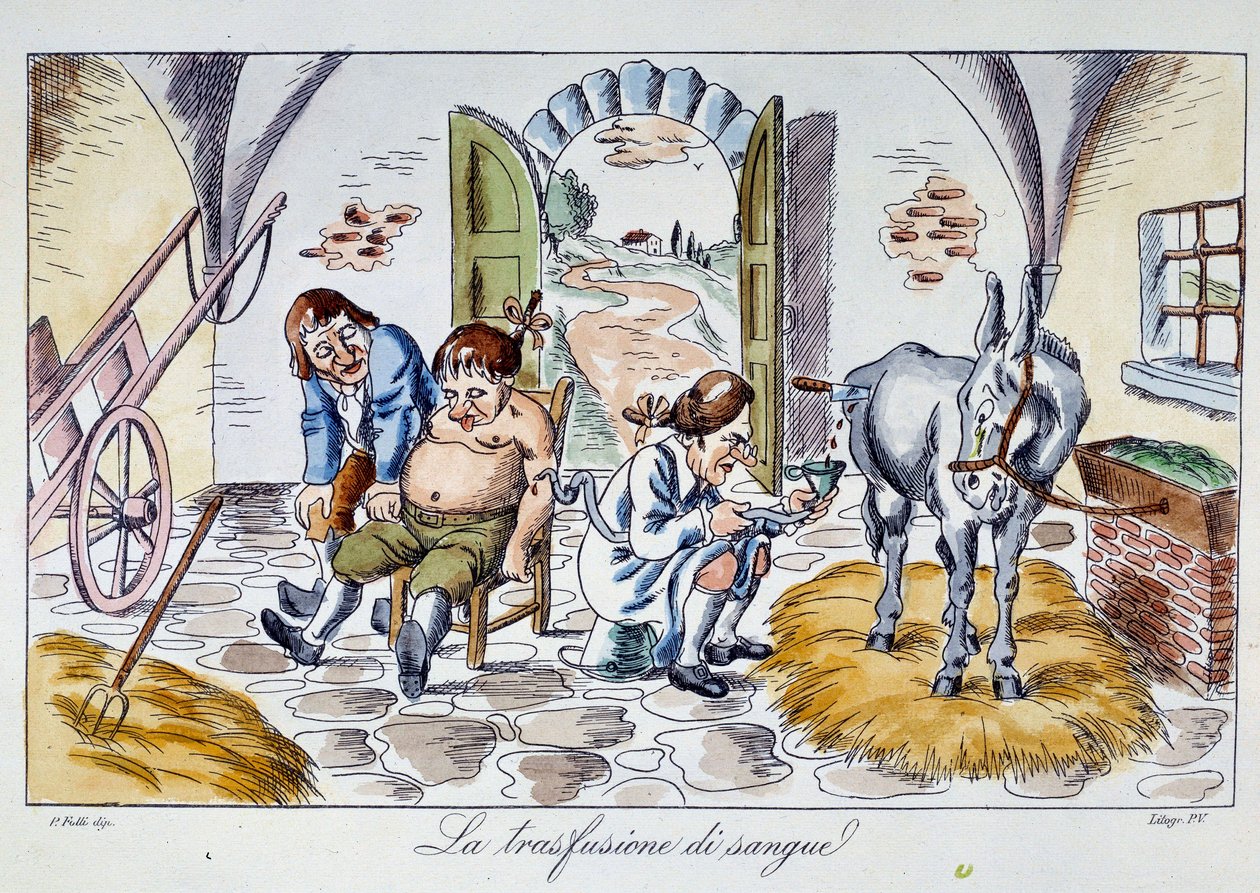 Blodoverføring En lege sprøyter hesteblod inn i en pasient. Tegneserie fra privatsamlingen fra 1800-tallet av Unknown artist