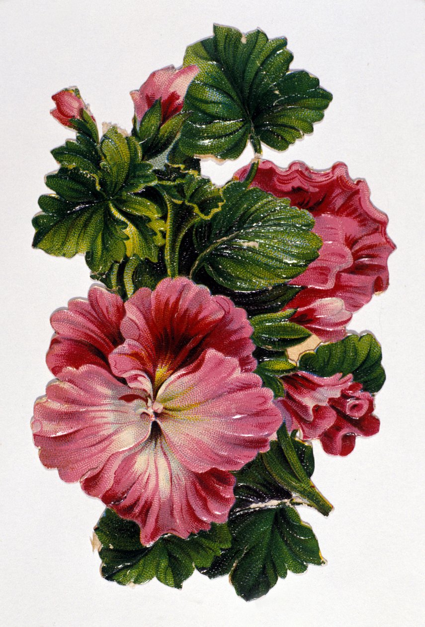 Blomsterbukett. 1800-talls kromolitografi. av Unknown artist