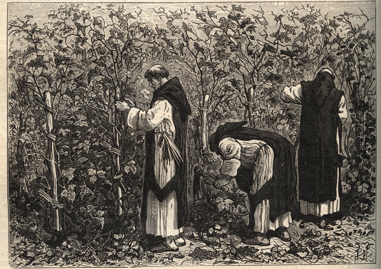 Burgundmunker som dyrker vintreet - av Louis Figuier - slutten av 1800-tallet av Unknown artist