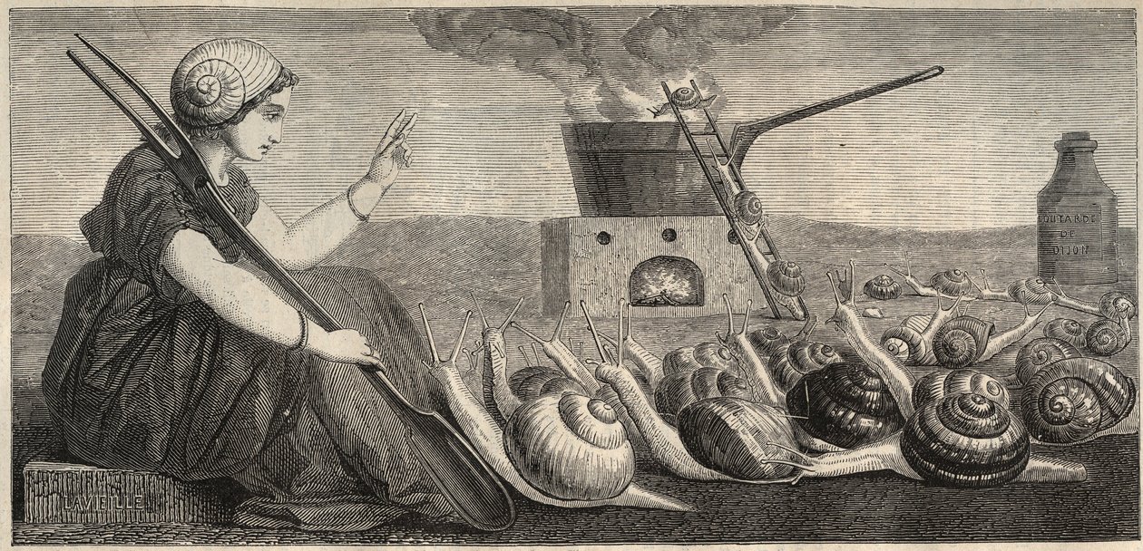 Burgundersnegl - gravering 1800-tallet av Unknown artist
