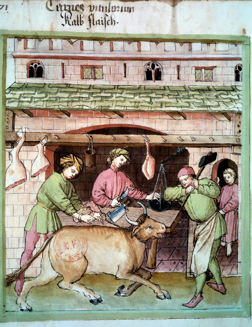 Slakting: slakting av en okse. Belysning fra melking av medisin og diett "" Tacuinum sanitatis"" av Unknown artist
