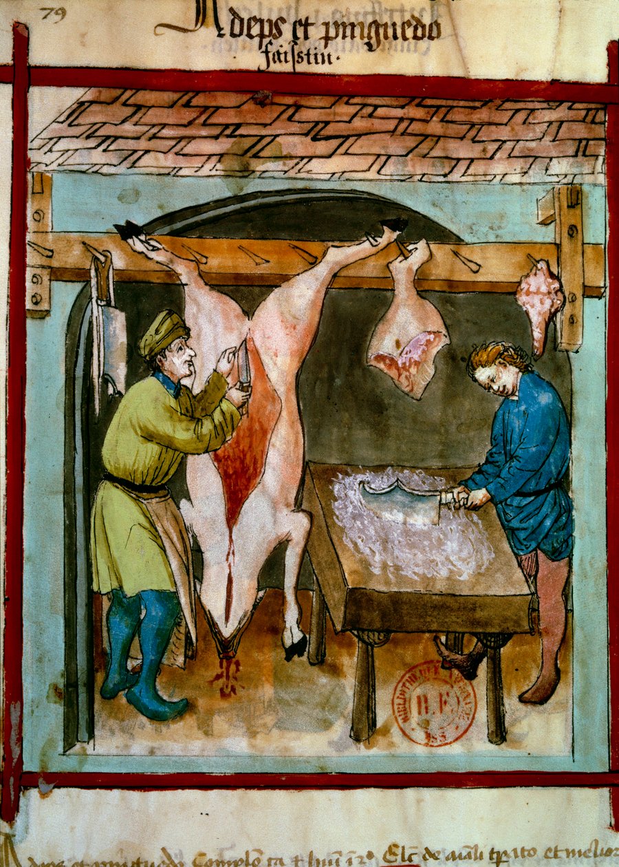 Slakteri: utjevning av en gris. Belysning fra melking av medisin og diett "" Tacuinum sanitatis"" av Unknown artist