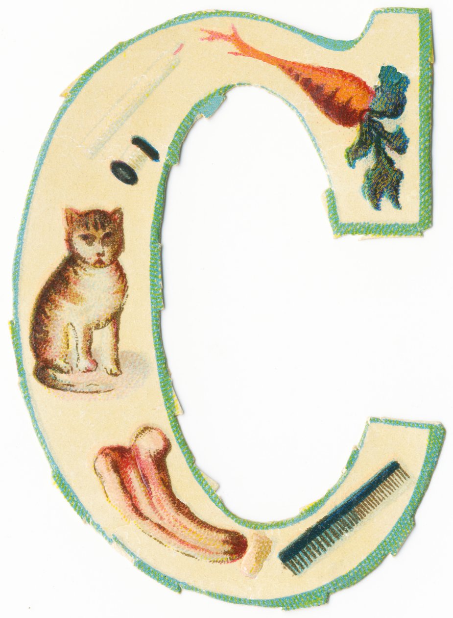 C: korall, gulrot, stearinlys, bomull, katt, kolosynt, kam (farge litho) av Unknown artist