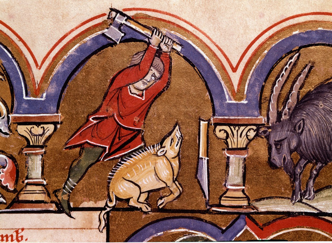 Kalender: november. Grisene slaktes. Detalj av en miniatyr hentet fra "" The Psalter of Saint Elizabeth""" Cividale fra 1200-tallet, Museo Archeologico av Unknown artist