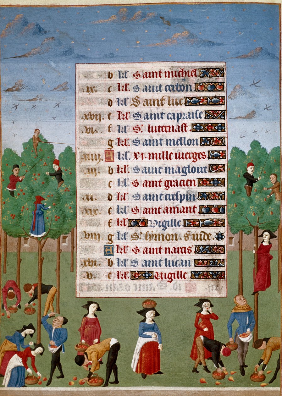 Kalenderside for oktober måned: "" Jordbruksarbeider, høsting av frukt""" Opplyst manuskriptside fra "TimeBook of the Duchess of Burgundy, Adelaide of Savoy"" Marie Adelaide av Savoy (1686-1712) er kona av delfinen Louis Duk av Unknown artist