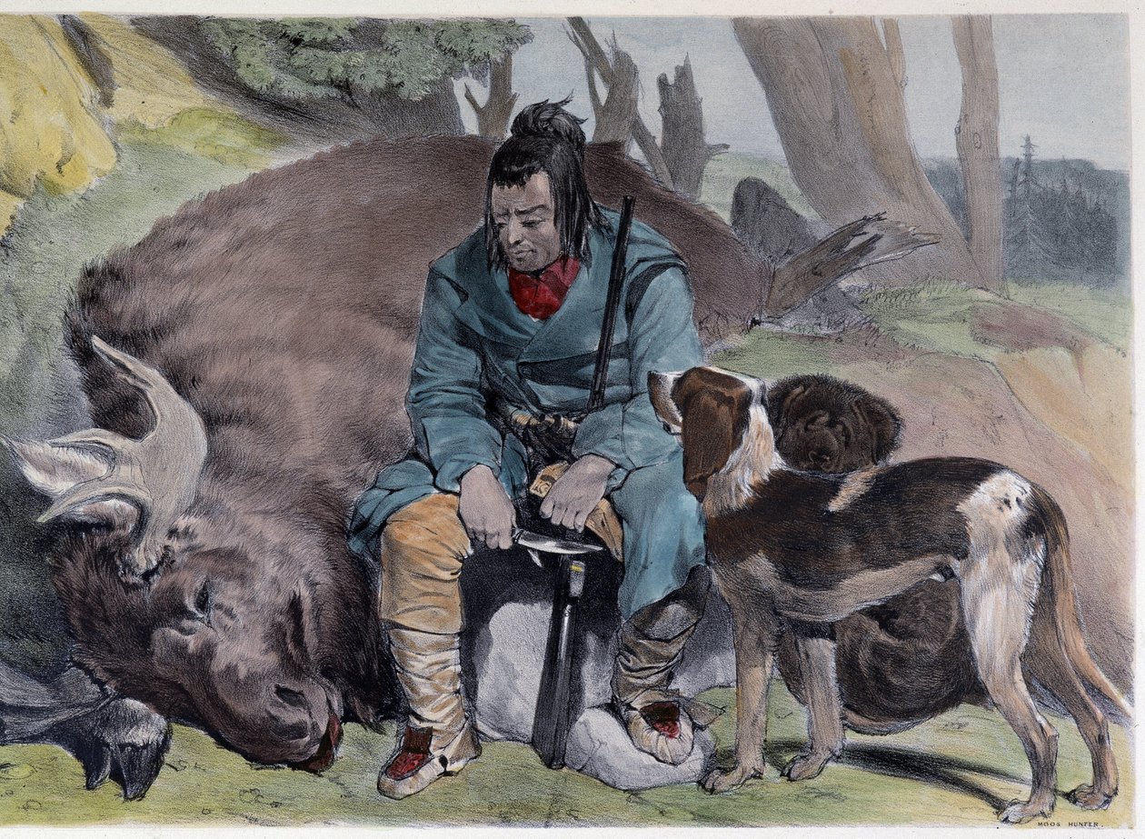 Kanadiske Huron Elk Hunt - i "" Shyths sketcher in the Canadas"" av Coke Smyth, London av Unknown artist