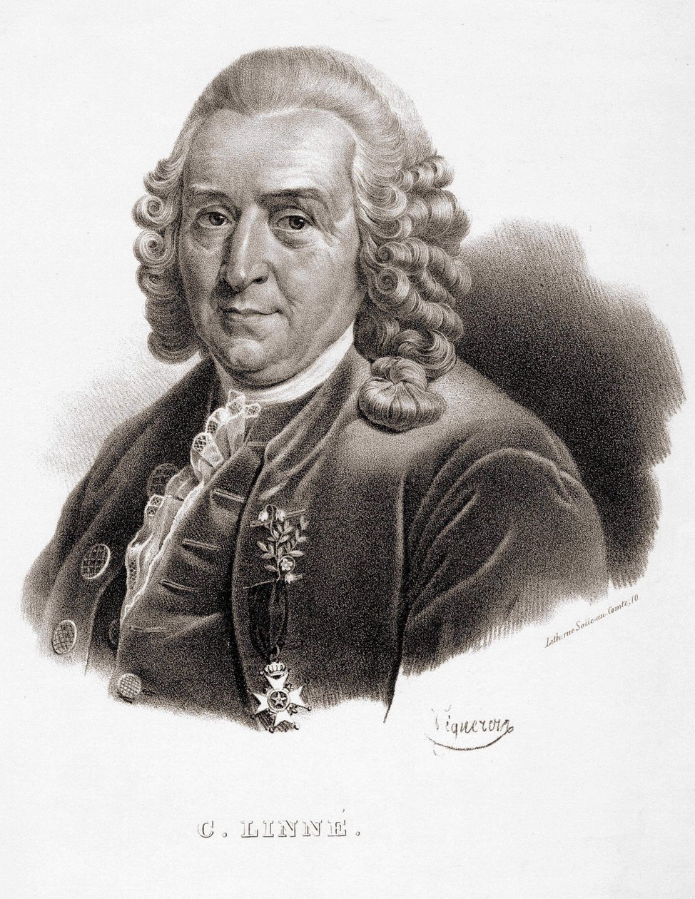 Carl Von Linné Swedish naturalist and writer (1707 - 1778). av Unknown artist