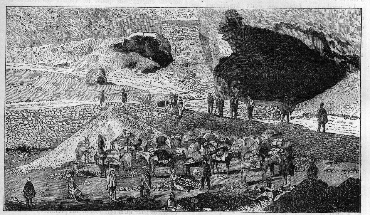 Cerro de Pasco sølvgruve i Peru: transport av malm på baksiden av Mulet. Gravering i "" La Nature"" av Unknown artist