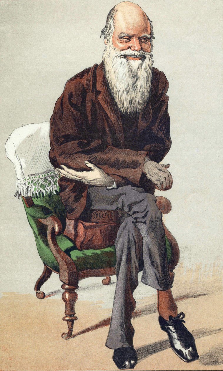 Charles Darwin (1809 - 1882), illustrasjon i "Vanity Fair" 30. september av Unknown artist