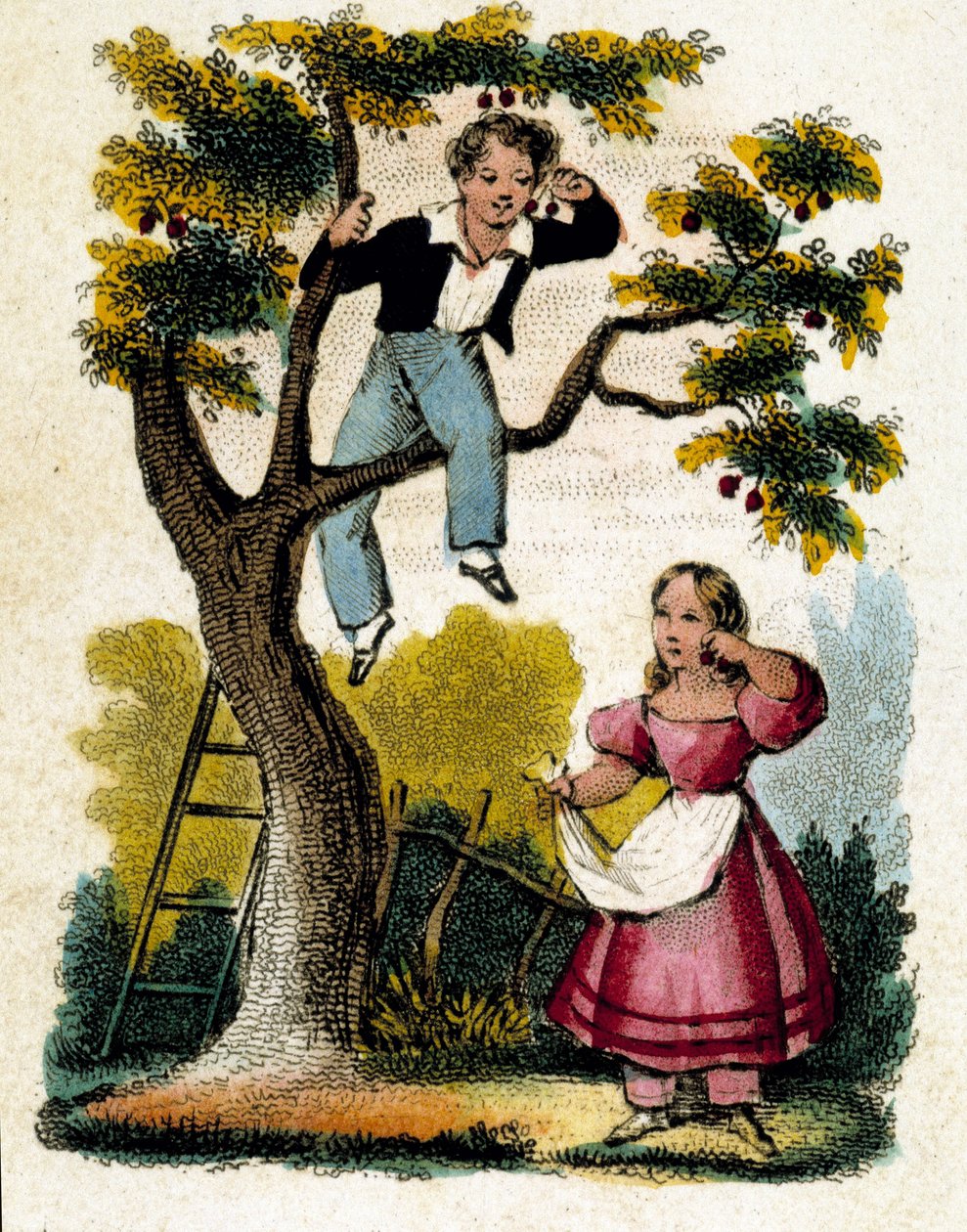 Kirsebærplukking - chromo., slutten av 1800-tallet av Unknown artist